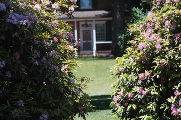 old house with flowers