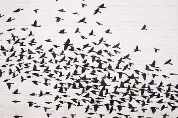 flock of birds painted Flying on a wall