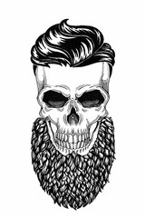 Monochrome illustration barbershop of skull with beard, mustache, hipster haircut and on white background, cartoon, angry, beautiful, brutal.