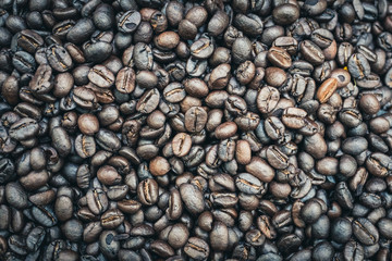 Coffee beans terminal as background