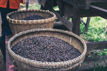 Coffee beans are in the basket.