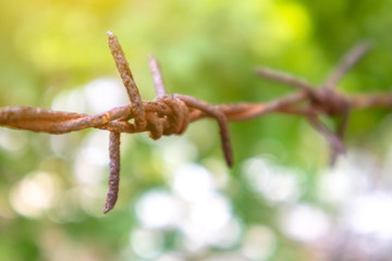 Close up shot of barbed wire with rust.