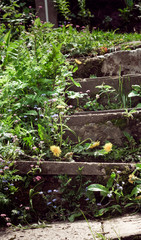 Old stone steps