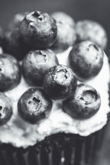 Homemade muffin with blueberry and cream cheese frosting on the rustic background. Selective focus. Black and white image.