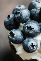 Homemade muffin with blueberry and cream cheese frosting on the rustic background. Selective focus.