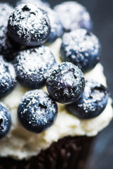 Homemade muffin with blueberry and cream cheese frosting on the rustic background. Selective focus.