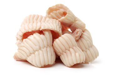 pig palate on white background