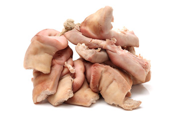 Pigs Snouts on white background