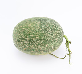 Cantaloupe melon  on white background