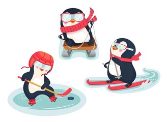 active penguins in winter concept