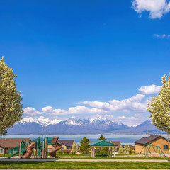 Frame Square Trees with white flowers towering over the playground and pavilion at a park