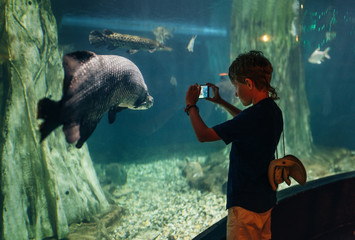 Obraz premium Little boy using a phone taking a photo of arapaima gigas, also known as pirarucu living in Amazon River in the underwater huge aquarium
