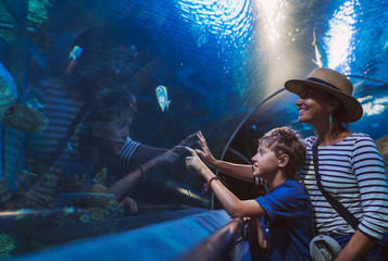 Naklejka premium Mother and son walking in indoor huge aquarium tunnel, enjoying a underwater sea inhabitants, showing an interesting to each other.