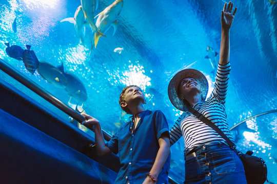 Mother and son walking in indoor huge aquarium tunnel, enjoying a underwater sea inhabitants, showing an interesting to each other.