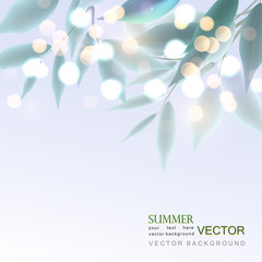 foliage in light, drops and sunlight, bokeh, vector background