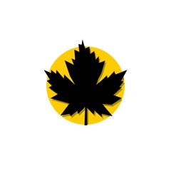 Maple leaf Canada symbol, icon, logo design