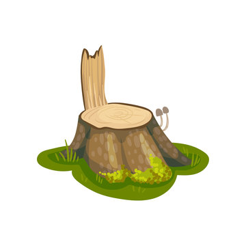 recommend clip art: Old stump with a piece of bark stands in a meadow. Vector illustration on white background.