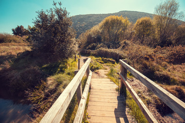 Fototapeta na wymiar Scenic wildlife. Wooden walking trail in the Natural Reserve (Natural Resources) Marisma de Joyel. Cantabria, Spain, Europe