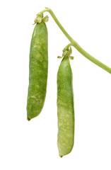 Fresh peas isolated on white background 