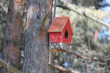 birdhouse on the tree