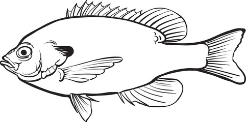 Fish. Flat vector illustration in black on white background