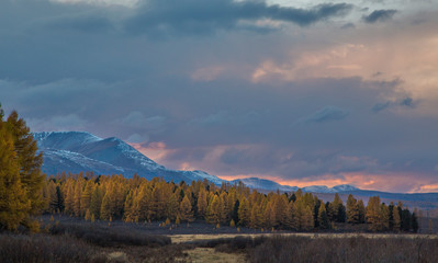 Beautiful Altai mountains in golden autumn