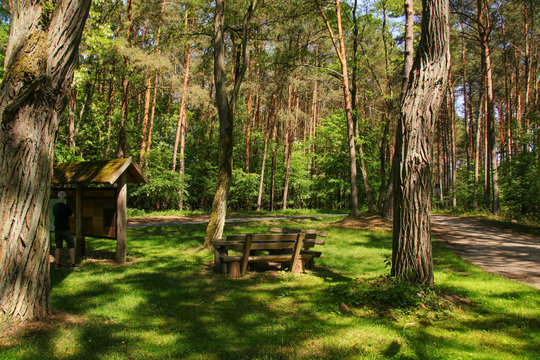 Mueritz National Park, hiking in Wesenberg, Mecklenburg Western Pomerania - Germany