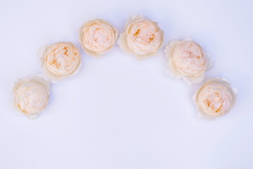 Floral arrangement, web banner with pink English roses, ranunculus, carnation flowers and green leaves on white table background. Flat lay, top view. Wedding or birthday styled stock photography.