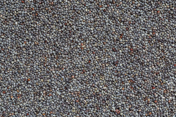 close up of black poppy seeds background
