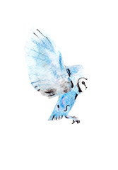 Beautiful and magical illustration of blue watercolor polar owl. Perfect for unique print, kids typography, book animal illustration. It is a hand drawn picture - Illustration