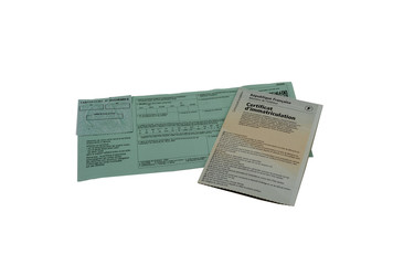 Car insurance card with gray car card cut out