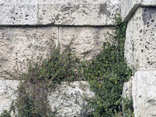 Ancient stone wall , Greece Athens