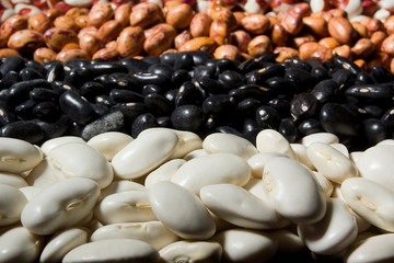 Mix of different varieties of beans