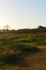 Closer - SERIES - Landscape Photography