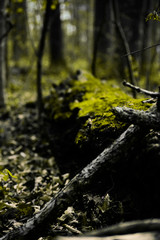 Look Closer - Landscape Photography