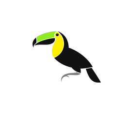 Toucan. Exotic bird from Costa Rica. Vector illustration