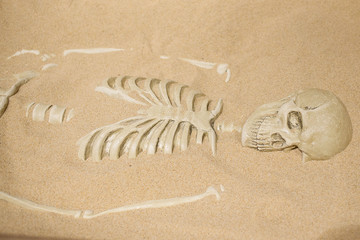 Human skeleton in the sand.  
