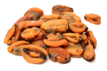 Dry Mussel on white background 