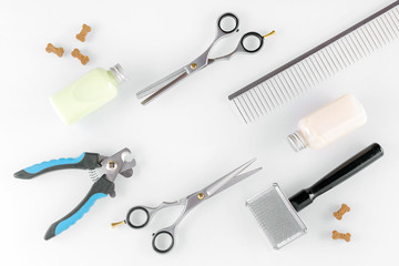 scissors with brush and comb for grooming, shampoo and dog treats, flat lay