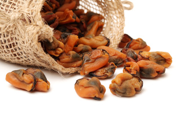 Dry Mussel on white background 