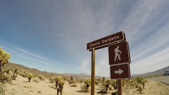 Cholla Cactus Gardens Sign- Joshua Tree National Park