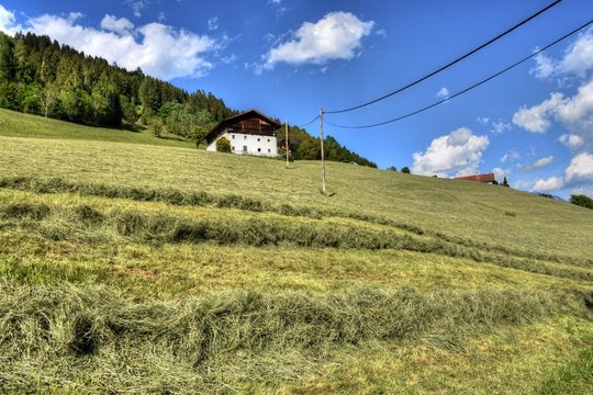 Wiese, Feld, Ernte, m&auml;hen, Heu, Heuernte, m&auml;hen, gem&auml;ht, Hang, Landwirtschaft, Bergbauer, Osttirol, Lienz, Gras, trocknen, Alpenhauptkamm, Sommer, Jahreszeit, Wolken, Himmel, Lienzer Dolomiten, Zentra