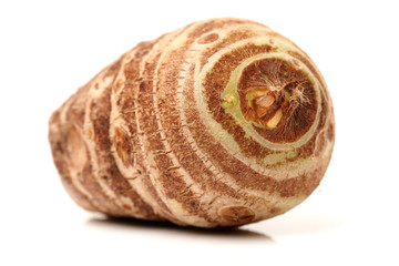 Taro on white background