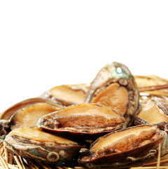 Raw abalones on the white background 