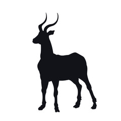 Black silhouette of african gazelle on white background. Isolated antelope icon. Wild animals of Africa. Savannah nature