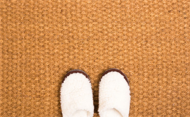 Cleaning foot carpet with shoes made of sheep wool