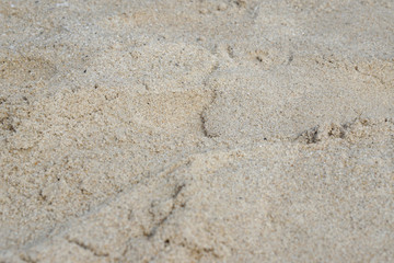 sand on the beach in thailand Phuket Patong