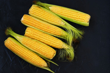 Fresh corn on cobs on a dark background, closeup, top view