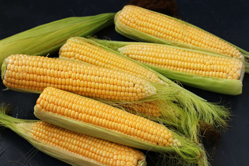 Fresh corn on cobs on a dark background, closeup, top view