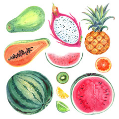 Seamless pattern with tropical fruit pineapple, watermelon, dragon fruit, orange, kiwi, lime,lemon, papayas on a white  background .Hand painted in watercolor.